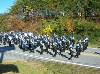 Veterans' Day Parade (375Wx281H) - Good looking group! 